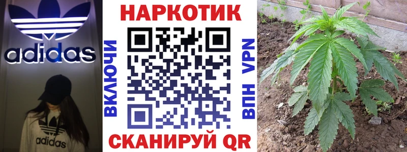 Галлюциногенные грибы Новая Усмань