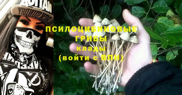 бутират Усмань