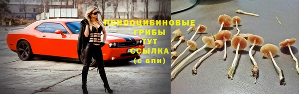 ешки Лиски