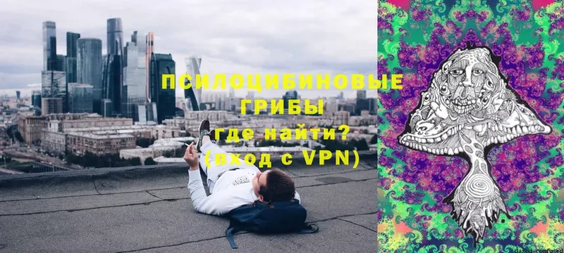 Псилоцибиновые грибы GOLDEN TEACHER  Новая Усмань 